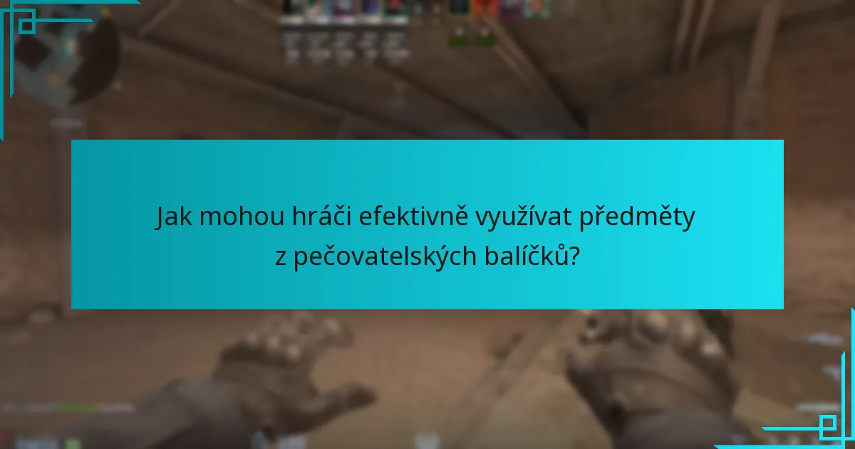 Jak mohou hráči efektivně využívat předměty z pečovatelských balíčků?