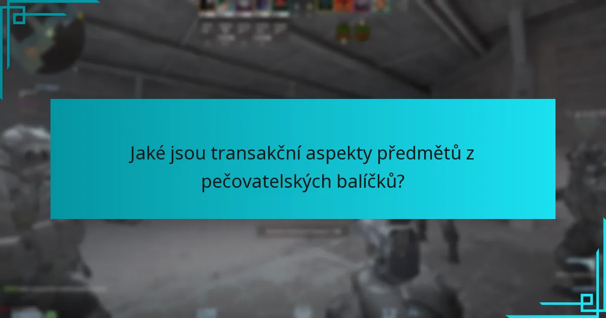 Jaké jsou transakční aspekty předmětů z pečovatelských balíčků?