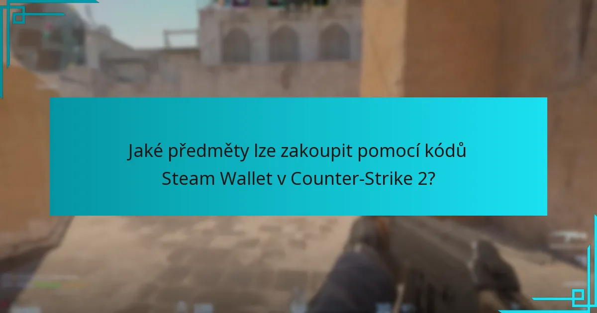 Jaké předměty lze zakoupit pomocí kódů Steam Wallet v Counter-Strike 2?